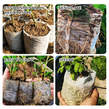 100 Pots Sacs de Culture Biodegradable