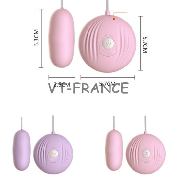 Oeuf Vibrant a Telecommande 7 vitesses