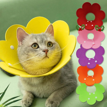 Collier Collerette Recuperation pour Chat & Petit Chien