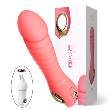 2 Vibromasseur Luxe Sans Fil Sextoys