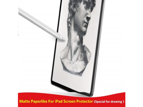 Film Protection Ecran et Ecriture pour iPad
