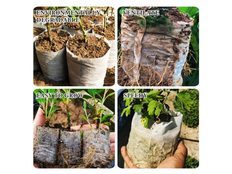 100 Pots Sacs de Culture Biodegradable