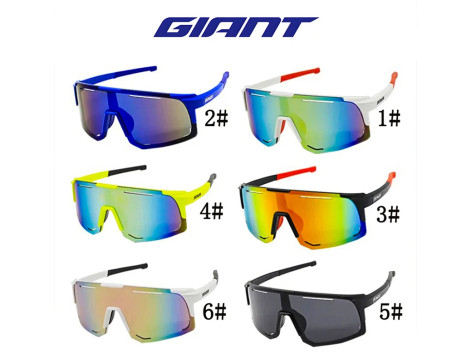 GIANT Lunettes de Soleil Pro Sport Mixte