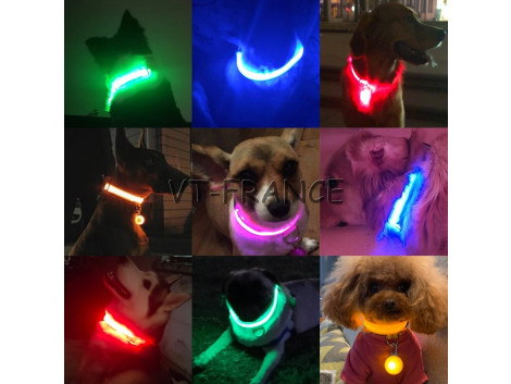 Collier LED USB pour Chiens Chiots