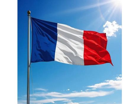 10 Grands Drapeaux Francais 150/90cm
