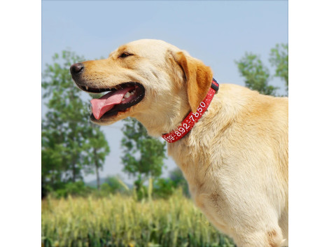 Collier Chien Nylon Brode Personnalise