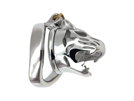 Cage de Chastete a Penis Inox