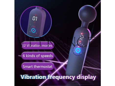 Vibromasseur LCD sans Fil 72 Vitesses