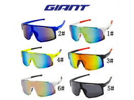 GIANT Lunettes de Soleil Pro Sport Mixte