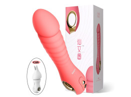 2 Vibromasseur Luxe Sans Fil Sextoys